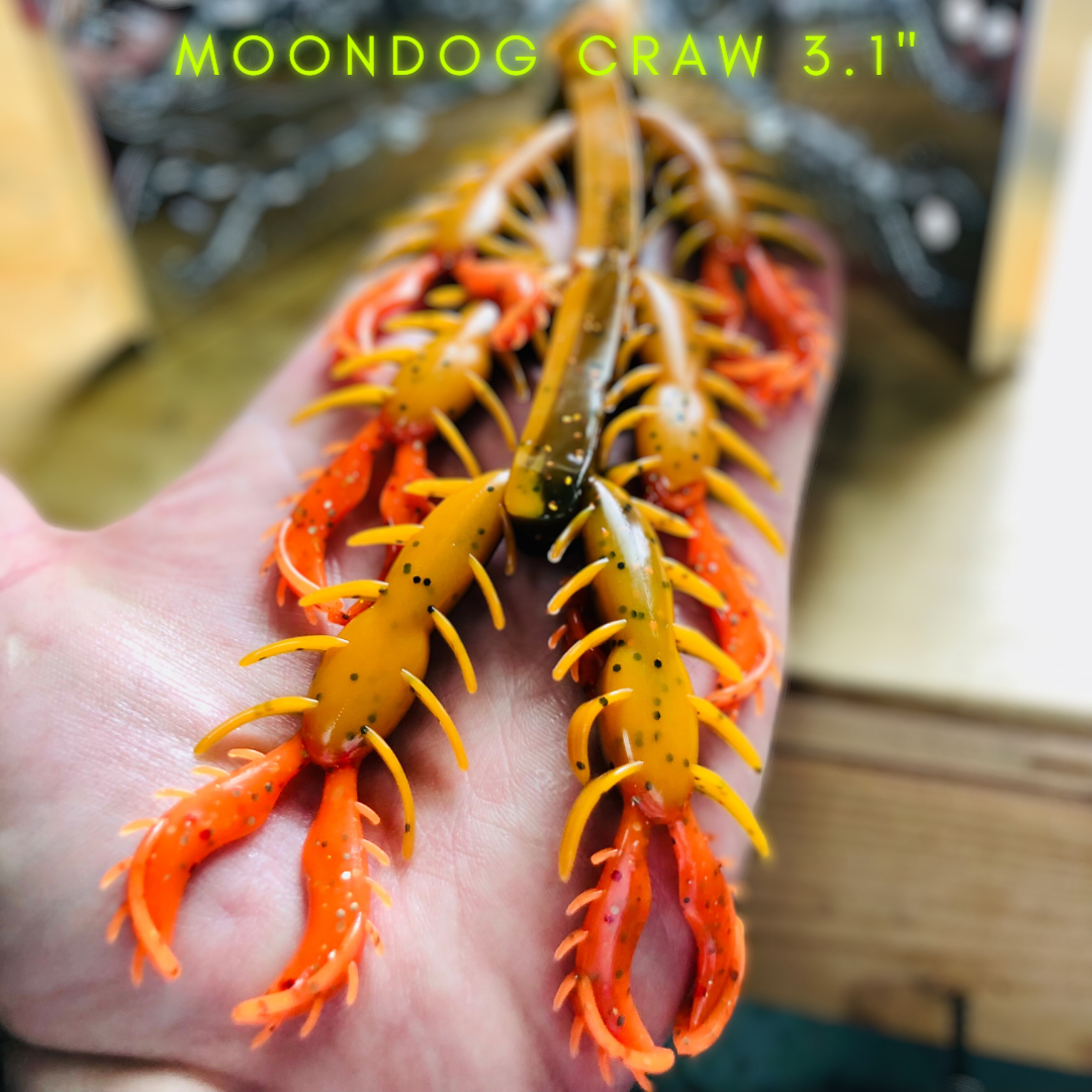 MOONDOG CRAW 3.1"