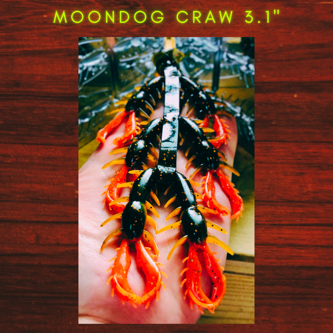 MOONDOG CRAW 3.1"
